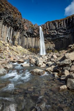 Svartifoss şelalesi İzlanda 'nın güneyinde bazalt sütunlarla çevrili.