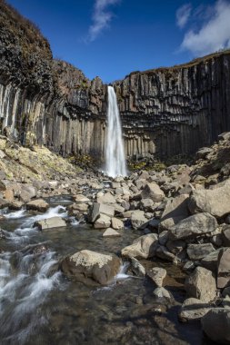 Svartifoss şelalesi İzlanda 'nın güneyinde bazalt sütunlarla çevrili.