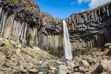Svartifoss şelalesi İzlanda 'nın güneyinde bazalt sütunlarla çevrili.