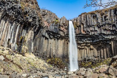 Svartifoss şelalesi İzlanda 'nın güneyinde bazalt sütunlarla çevrili.