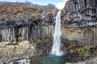 Svartifoss şelalesi İzlanda 'nın güneyinde bazalt sütunlarla çevrili.