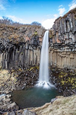 Svartifoss şelalesi İzlanda 'nın güneyinde bazalt sütunlarla çevrili.