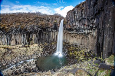 Svartifoss şelalesi İzlanda 'nın güneyinde bazalt sütunlarla çevrili.