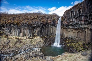 Svartifoss şelalesi İzlanda 'nın güneyinde bazalt sütunlarla çevrili.