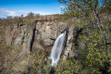 Svartifoss şelalesi İzlanda 'nın güneyinde bazalt sütunlarla çevrili.