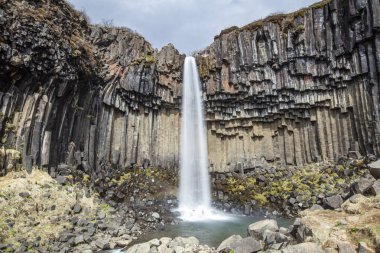 Svartifoss şelalesi İzlanda 'nın güneyinde bazalt sütunlarla çevrili.