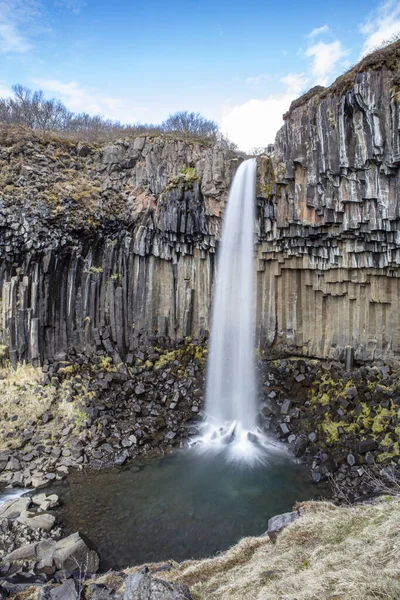 Cachoeira Svartifoss Cercada Por Colunas Basalto Sul Islândia — Fotografia de Stock