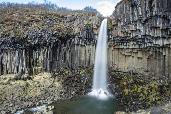 冰岛南部Svartifoss瀑布被玄武岩柱环绕 免版税图库照片