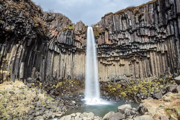 Wasserfall Svartifoss Umgeben Von Basaltsäulen Süden Islands lizenzfreie Stockfotos