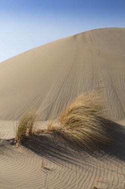 Patara plajı Türkiye 'de ünlü bir turizm merkezi ve doğal varış yeridir. Turuncu kum tepelerinin ve tepelerin görkemli manzarası ılık günbatımının ışınlarında parlıyor..