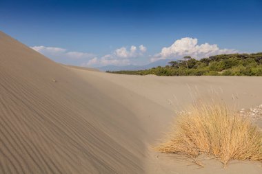 Patara plajı Türkiye 'de ünlü bir turizm merkezi ve doğal varış yeridir. Turuncu kum tepelerinin ve tepelerin görkemli manzarası ılık günbatımının ışınlarında parlıyor..