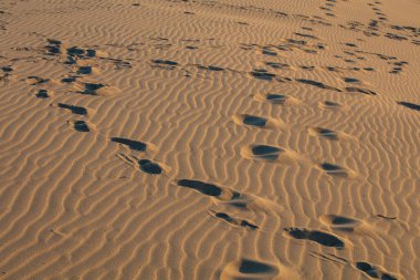 Patara plajı Türkiye 'de ünlü bir turizm merkezi ve doğal varış yeridir. Turuncu kum tepelerinin ve tepelerin görkemli manzarası ılık günbatımının ışınlarında parlıyor..