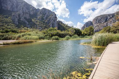 Türkiye 'nin Olimpos kentindeki Lycian kasabasının antik kalıntılarına bakın.