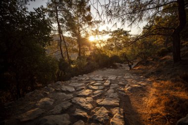 Olimpos 'un Ebedi Yangını: Yanartas, Antalya' nın Kemer ilçesine bağlı Cirali köyü yakınlarında küçük, tarihi ve turistik bir doğal gaz kaynağıdır..