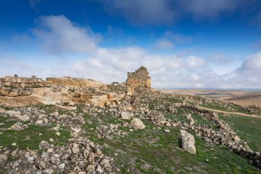 Roma İmparatorluğu 'nun Zerzevan şatosu sınır merkezi