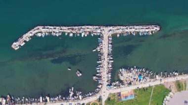 Güzel pembe flamingolar, 4K, Türkiye, İzmir..