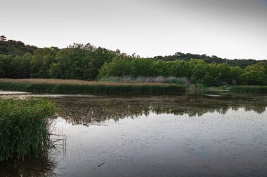 Kovada Gölü 'nün güzel manzaraları, dağlar ve gökyüzünden yeşil alan. Isparta Gölü Bölgesi, TURKEY
