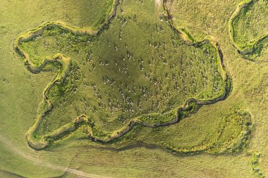 Perembe Platosu 'nun hava manzarası. Yollar ve koyun sürüleri.