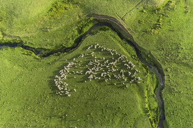 Perembe Platosu 'nun hava manzarası. Yollar ve koyun sürüleri.