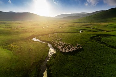 Perembe Platosu 'nun hava manzarası. Yollar ve koyun sürüleri.