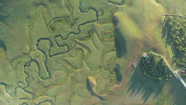 Een Luchtfoto Van Het Perembe Plateau Meandert Kuddes Schapen — Stockvideo