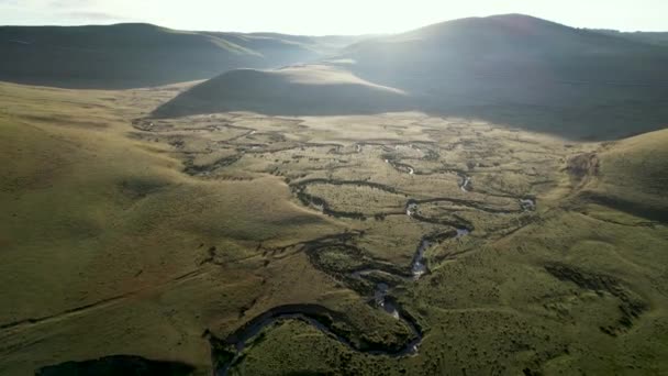 ペルベンプラトーの牧場と羊の群れの空想的な眺め — ストック動画