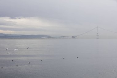 Osman Gazi Köprüsü (İzmit Körfezi Köprüsü). İzmit, Kocaeli, Türkiye. Marmara Denizi üzerinde yeni bir yol köprüsü inşaatı devam ediyor.