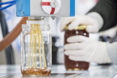 Fabrika taze bal ile boş kavanoz doldurma.