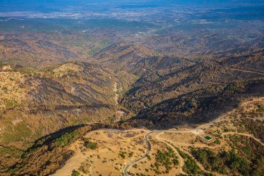Orman yangınından sonra yeniden büyüyen orman ağaçlarının havadan görünüşü. Türkiye, İzmir