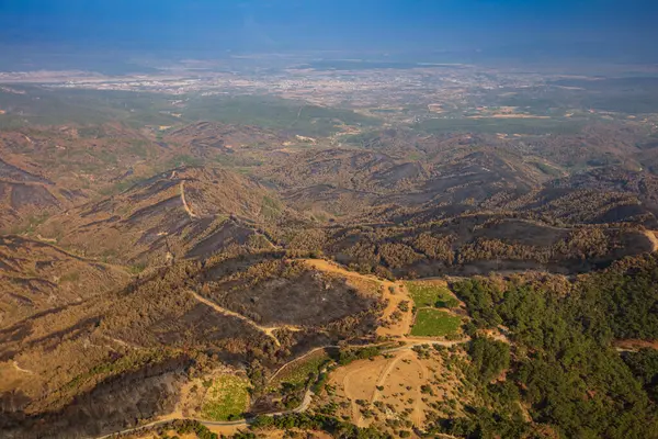 stock image Aerial view of forest trees regrowing after forest fire. Turkey, izmir