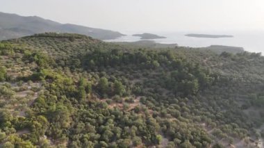Bademli, Dikili, zmir, Türkiye 'nin güzel kıyı şeridi