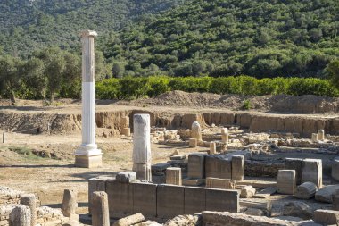 Claros 'un (Klaros, Clarus) Ionia kıyısındaki antik bir Yunan mabedi manzarası.