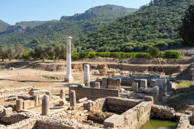 Claros 'un (Klaros, Clarus) Ionia kıyısındaki antik bir Yunan mabedi manzarası.