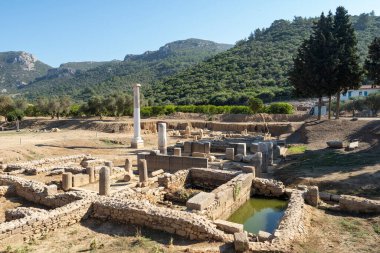 Claros 'un (Klaros, Clarus) Ionia kıyısındaki antik bir Yunan mabedi manzarası.