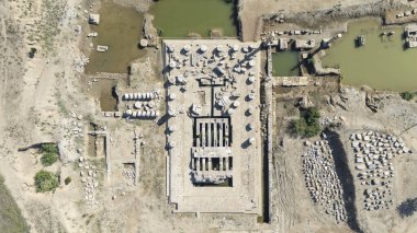 Claros 'un (Klaros, Clarus) Ionia kıyısındaki antik bir Yunan mabedi manzarası.