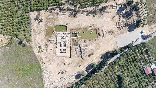 Claros 'un (Klaros, Clarus) Ionia kıyısındaki antik bir Yunan mabedi manzarası.