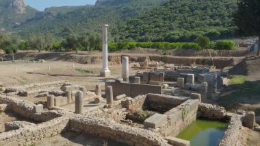 Claros 'un (Klaros, Clarus) Ionia kıyısındaki antik bir Yunan mabedi manzarası.