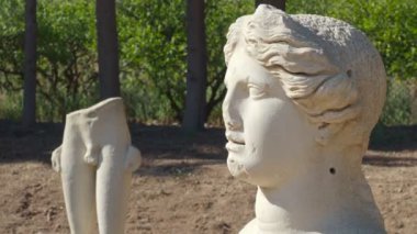Claros 'un (Klaros, Clarus) Ionia kıyısındaki antik bir Yunan mabedi manzarası.
