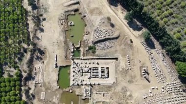 Claros 'un (Klaros, Clarus) Ionia kıyısındaki antik bir Yunan mabedi manzarası.