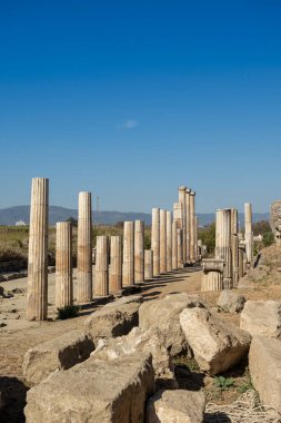 Magnesia Antik Kenti, İyonya 'daki antik bir Yunan kenti olan Maeander' da harabe halindedir. Aydın, Türkiye.