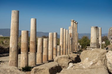 Magnesia Antik Kenti, İyonya 'daki antik bir Yunan kenti olan Maeander' da harabe halindedir. Aydın, Türkiye.