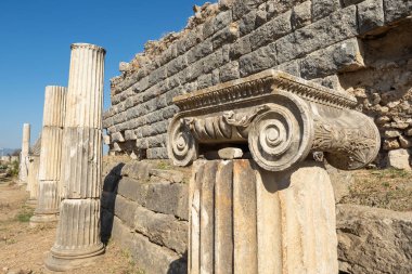 Magnesia Antik Kenti, İyonya 'daki antik bir Yunan kenti olan Maeander' da harabe halindedir. Aydın, Türkiye.