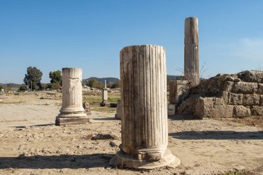 Magnesia Antik Kenti, İyonya 'daki antik bir Yunan kenti olan Maeander' da harabe halindedir. Aydın, Türkiye.