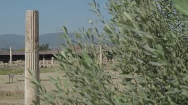 Magnesia Antik Kenti, İyonya 'daki antik bir Yunan kenti olan Maeander' da harabe halindedir. Aydın, Türkiye.