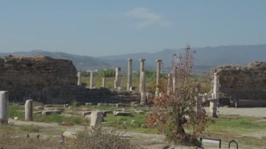Magnesia Antik Kenti, İyonya 'daki antik bir Yunan kenti olan Maeander' da harabe halindedir. Aydın, Türkiye.