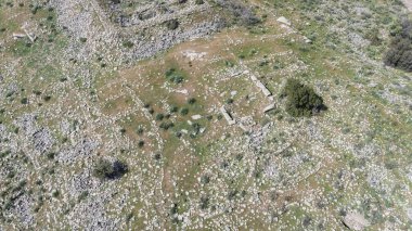 Harpasa, Antik Karia 'da yalnızca Latin Katolik unvanı taşıyan bir şehir ve piskoposluk (Antik Asya) idi..