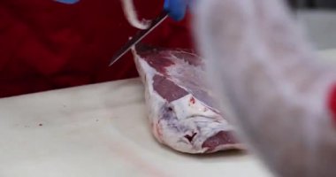 Et endüstrisi, kasap mezbahada bıçakla çiğ et kesiyor..