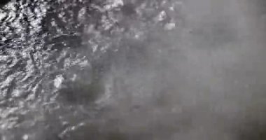 Kaynar su yakın kadar buhar ile