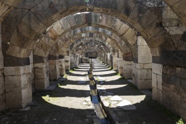 İzmir agora. Yeni eserlerle, antik şehrin kalıntıları görünmeye başladı. Agora İzmir 'in merkezinde yer almaktadır. İzmir Türkiye