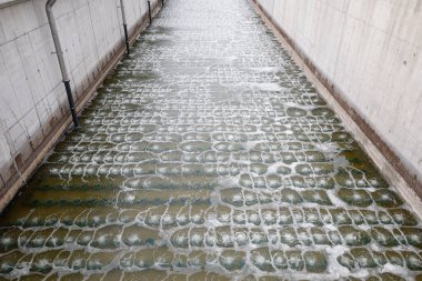 Havalandırma havzasında biyolojik tedavi süreci. Özel ekipman, oksijen girişi yoluyla organik kirleticilerin bozulmasına hizmet eder.